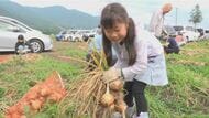 新玉ねぎ10キロ1500円「安曇野玉ねぎ祭り」にぎわう　袋いっぱいに詰め込んで持ち帰る　長野県・安曇野市14会場で実施