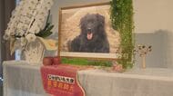 東日本大震災で福島から岐阜へ…被災地を元気づけた災害救助犬「じゃがいも」2月に天国へと旅立ちお別れ会開かれる