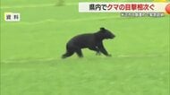 米沢市・飯豊町で緊急銃猟　そのほか川西町下奥田・上小松でもクマ目撃相次ぐ　山形