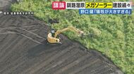 釧路湿原タンチョウ生息のすぐそばでメガソーラー建設　アルピニスト野口健さん直撃に「犠牲が大きすぎる」