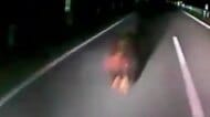 【ヒグマの映像あり】ヒグマ×バス「ドン！」ドライブレコーダーがとらえた激突の瞬間…深夜の自動車専用道路で冬眠前のクマが乗客乗員15人が乗った都市間バスと衝突＿熊は森へ逃走〈北海道豊富町〉
