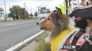 「事故にあワン」10匹の“犬のお巡りさん”出動！　警察犬や愛犬が安全運転を呼びかけ　日没早まる中「早めにライト点灯、速度を落として」　秋の全国交通安全運動は9月30日まで