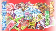 「グミ」が若者に大人気　音も楽しみ、かわいさで“SNS席巻”　生まれる「グミニケーション」【大阪発】