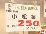 小松菜の値段が2週間前の倍以上に…長雨の影響で農作物に“異変” ブドウの実が割れ廃棄せざるを得ない農園も