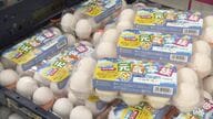 【鳥インフル】発生が過去最多に並ぶー養鶏場で46万羽が殺処分ー周囲半径10km圏内に約160万羽ー卵の出荷にも制限＆価格や流通に影響も 「エッグショック」の教訓で仕入れ先拡大も〈北海道〉