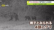 北海道内全域で出没相次ぐクマとどう向き合うか… ポイントはゾーニング専門家らが提言 「棲み分け」で人との接触を減らす