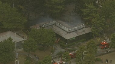 【速報】横浜市の「海の公園」付近で火災　消防が消火活動中　けが人確認中　周辺にはシ…