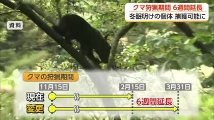 ツキノワグマの狩猟期間を6週間延長へ　富山県が新計画を了承　冬眠明けのクマ捕獲に有効