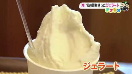 暑い日は“ひんやりスイーツ”を　香南市「ドルチェかがみ」地元フルーツをぜいたくに使った絶品ジェラート