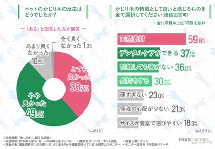 【犬の飼い主の「かじり木」への満足度は約9割】かじり木に求める要素上位3要素を網羅したコーヒーの木 「CANOPHERA(キャノフィラ)」の販売が10月下旬からカインズ50店舗にて開始