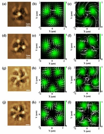 多数の光の渦を物質に転写して可視化することに成功！～物質中での渦の生成、消滅、操作の新展開～