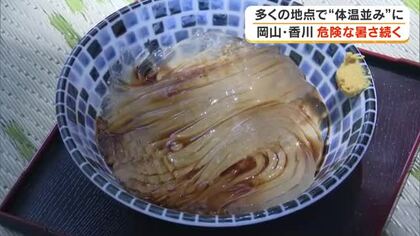 「暑いから冷たいものが食べたくなる」坂出市の甘味処では涼しさ求め客が急増【香川】
