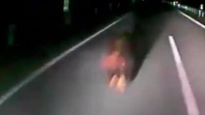 【ヒグマの映像あり】ヒグマ×バス「ドン！」ドライブレコーダーがとらえた激突の瞬間…深夜の自動車専用道路で冬眠前のクマが乗客乗員15人が乗った都市間バスと衝突＿熊は森へ逃走〈北海道豊富町〉