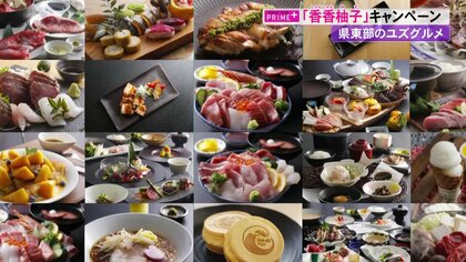 高知といえばユズ！ 海鮮丼や豚角煮にデザートも…特産のユズを使った絶品グルメが続々登場