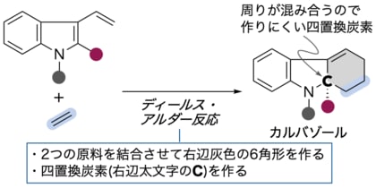 新薬開発に役立つ複雑な化合物の1工程合成に成功 ~ランタノイドが拓く創薬と環境の未来~