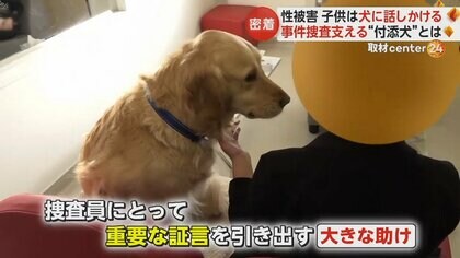 性被害の子どもに寄り添う付添犬　事情聴取や裁判所で利用者1000人超　日本では2020年に初採用…課題も　フランス