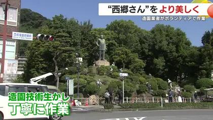 鹿児島市「西郷隆盛像」をきれいに　造園業者がボランティアで作業　