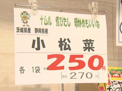 小松菜の値段が2週間前の倍以上に…長雨の影響で農作物に“異変” ブドウの実が割れ廃棄せざるを得ない農園も