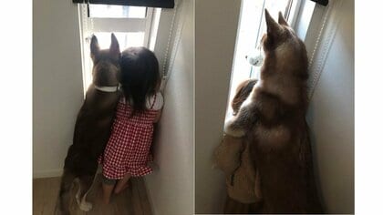 外を眺める「2歳娘と犬」の成長記録…4カ月で“姉妹”からまるで“親子”に⁉ 関係性を父親に聞いた