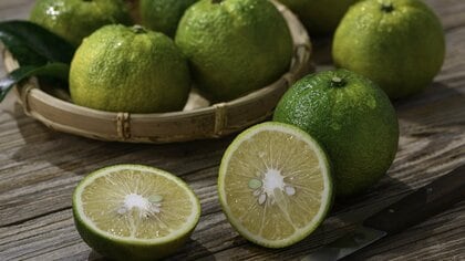 花粉症対策に注目の「じゃばら」って？皮に期待の成分「ナリルチン」がたっぷり！野菜ソムリエおすすめの食べ方