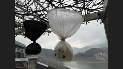 『テルテル坊主』を逆さまに… 少雨の長期化でダムの底が露出 解消はいつ？ 深刻な水不足で身近な人気施設にも影響が… 【福岡発】