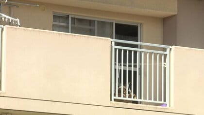 女性が未明に腹などを刺されて死亡　交際相手とみられる男を現行犯逮捕　「殺す気はなかった」　大阪・貝塚市