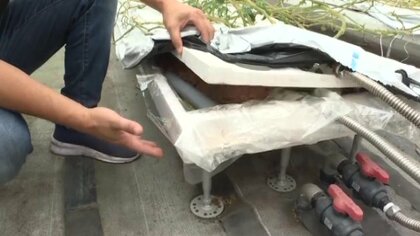 トマトを救う“ノアの箱舟”…きっかけは「半分投げやりな会話」から 独自の浮かせる対策で“水害と共存”【佐賀発】