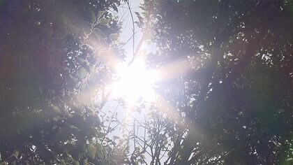 今年も…「熱中症警戒アラート」4月27日から全国でスタート