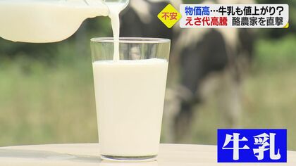 「赤字ギリギリ」エサ代急騰で窮地の酪農家　月60万円増加も…背景にウクライナ情勢、原油高、円安【愛媛発】