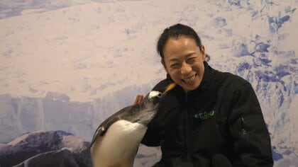 メキシコで人気のペンギン占うW杯予想　あすの日本の勝敗は？チュニジア勝利を予想　スウェーデン戦はドロー