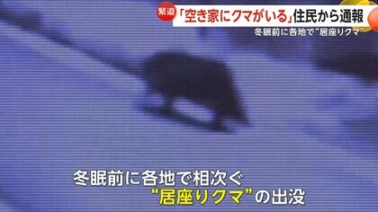 「どこから来たんだろう」“スーパー居座りクマ”3日目に捕獲…福島では空き家にクマ侵入　個体数増加で今までいなかった地域にも出没