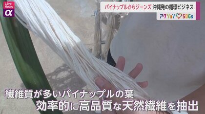 パイナップルからジーンズ！沖縄発の循環ビジネス 「つくる責任 つかう責任」で世界をリードに期待｜FNNプライムオンライン