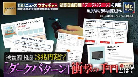 被害総額3兆円超え　悪質なウェブ表示「ダークパターン」の実態　日本人がだまされやすい手口　数字の前に「￥」マーク、中国人民元で決済