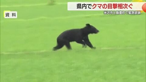 米沢市・飯豊町で緊急銃猟　そのほか川西町下奥田・上小松でもクマ目撃相次ぐ　山形