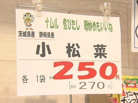 小松菜の値段が2週間前の倍以上に…長雨の影響で農作物に“異変” ブドウの実が割れ廃棄せざるを得ない農園も