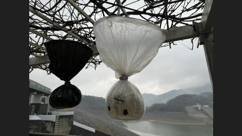 『テルテル坊主』を逆さまに… 少雨の長期化でダムの底が露出 解消はいつ？ 深刻な水不足で身近な人気施設にも影響が… 【福岡発】