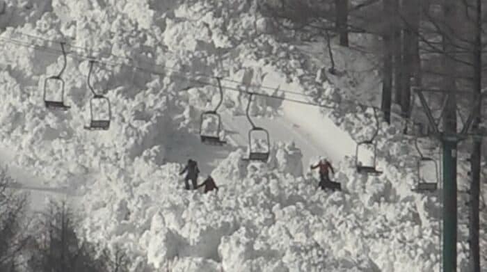 警察や探索犬が捜索