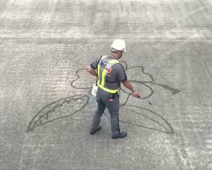 動画はハイビスカスの描く途中から始まる