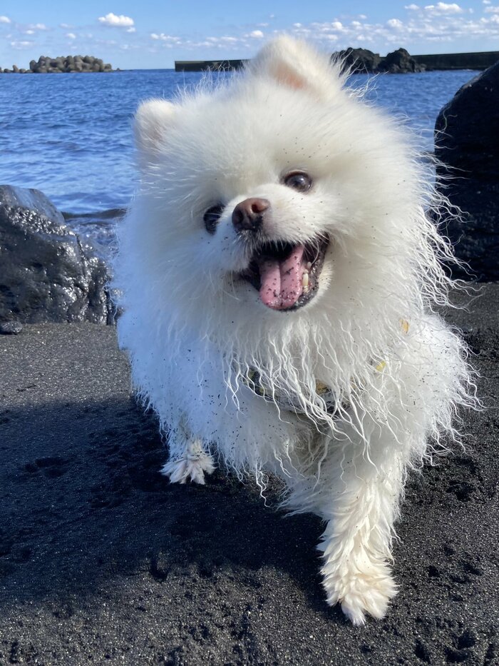 海遊び中はいきいきした表情