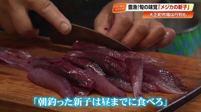 鮮度が落ちるのが早いメジカの新子