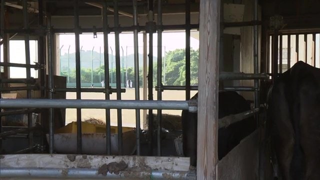 牛舎越しに見える磐城農業高校・野球部のグラウンド