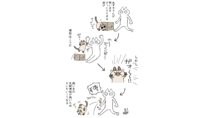 (失敗の一例 衝突事故に… 提供:のべ子さん)