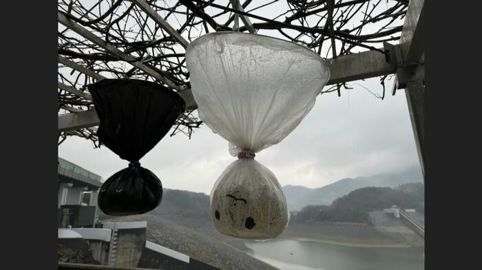 テルテル坊主を逆さまにした『ふれふれ坊主』