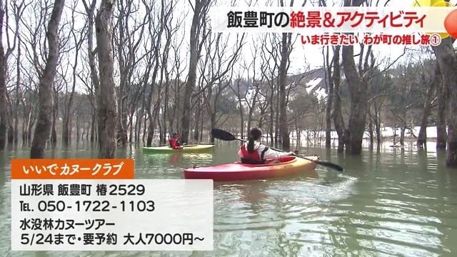 白川湖での水没林カヌーツアーは5月24日まで予約受付