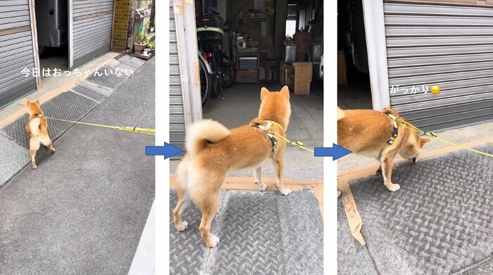 おっちゃんがいない日ものぞいて確認