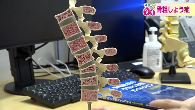 年齢と共に骨量は減少する