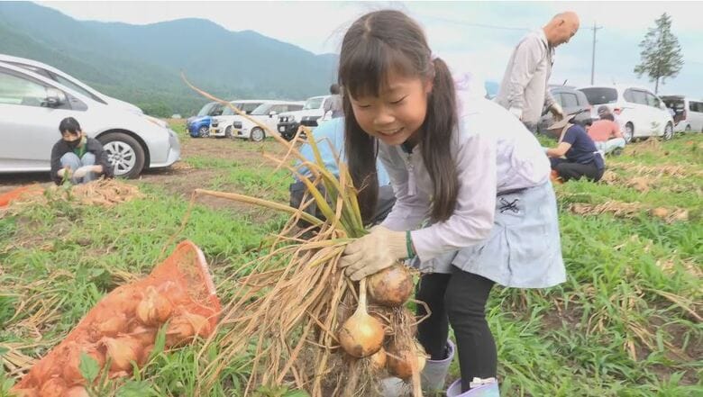 新玉ねぎ10キロ1500円「安曇野玉ねぎ祭り」にぎわう　袋いっぱいに詰め込んで持ち帰る　長野県・安曇野市14会場で実施｜FNNプライムオンライン