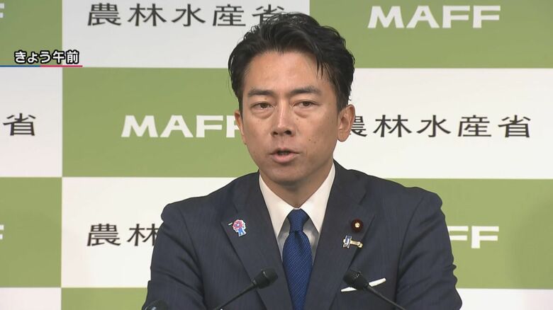 【解説】進次郎氏は”選択的夫婦別姓”推進を封印？AERA元編集長「候補者全員が右に寄っていく」と危惧｜FNNプライムオンライン