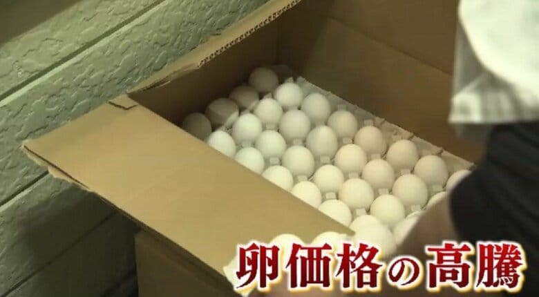 “エッグショック”再来か…卵の価格また高騰　マヨネーズ値上げへ　養鶏業者もエサ代アップに苦悩　鳥インフルのリスク抱え｜FNNプライムオンライン