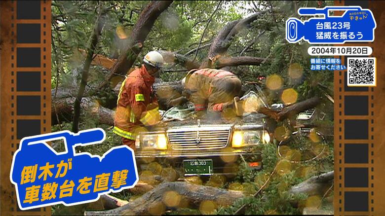 【広島あの日の今日】カメラが捉えた倒木の瞬間（2004年）台風23号猛威　平和大通りで倒木相次ぐ｜FNNプライムオンライン
